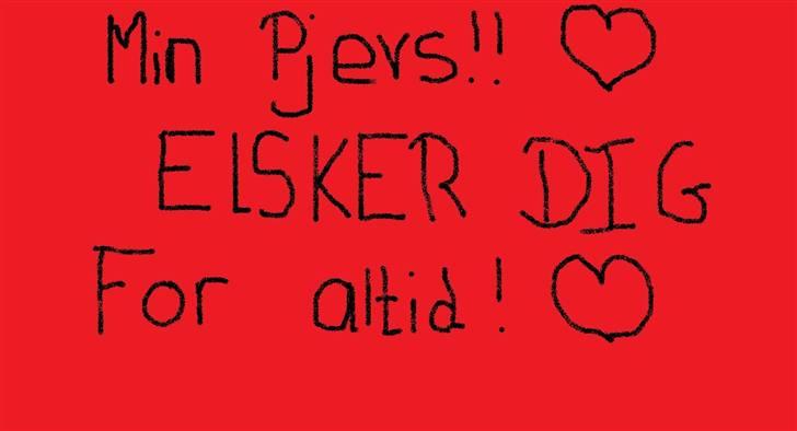 Huskat Pjevs. :(han er død): billede 5