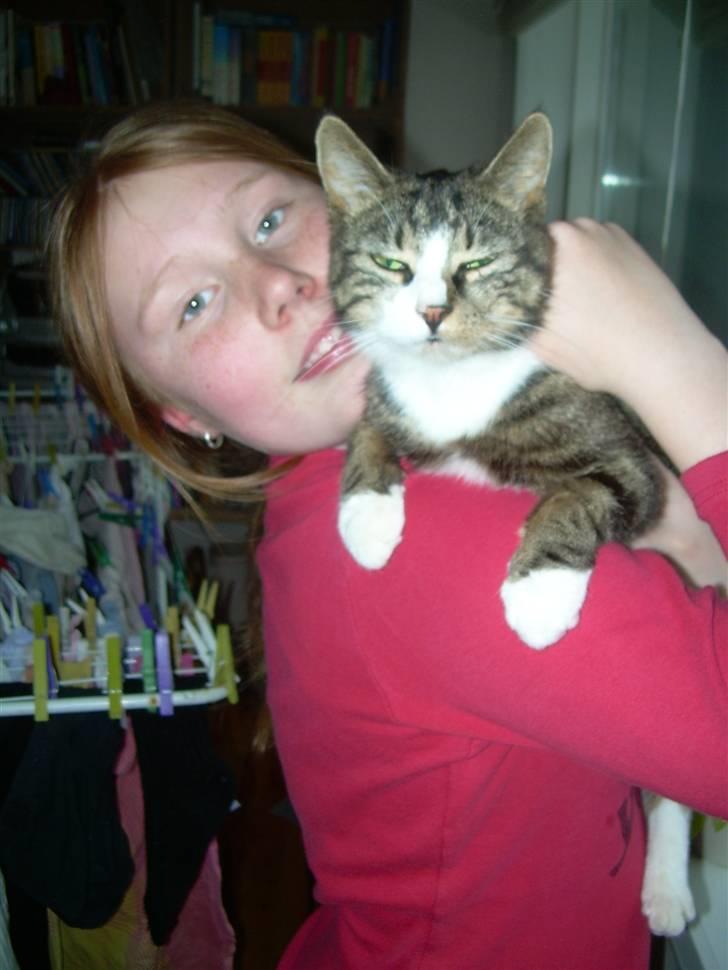 Huskat Freja  - Miig og Den Lille ! billede 7