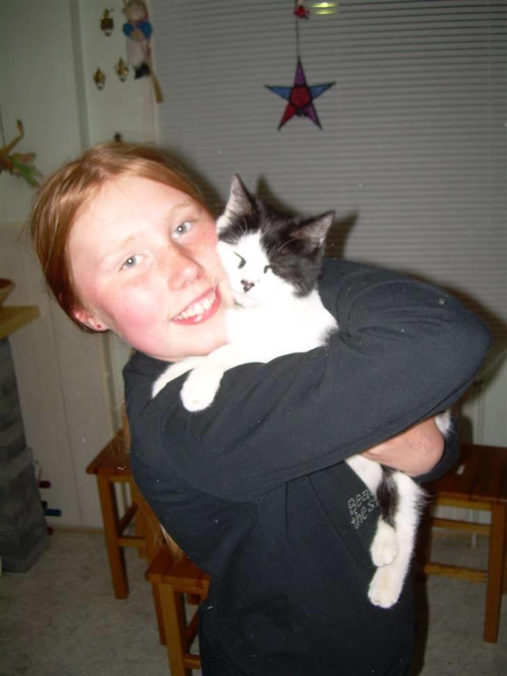 Huskat Ronja - Mig og Bassen! billede 5