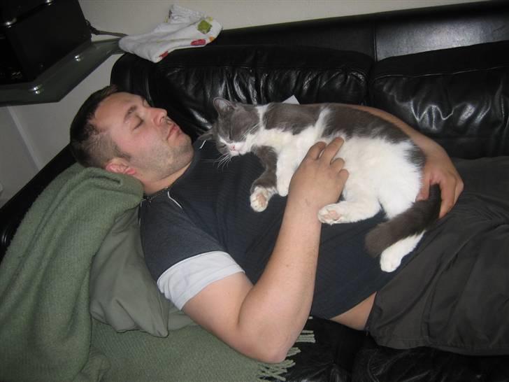 Blanding af racer Simba - Tager lige en lur sammen med farmand... billede 9