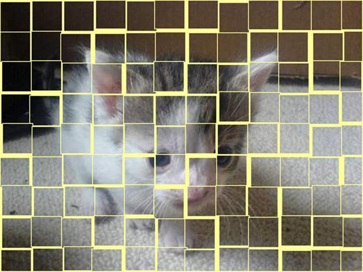 Huskat Pjevsen **OBS** !!!VÆK!!! - det er rigtig flot (redigeret af charlotte m) billede 20