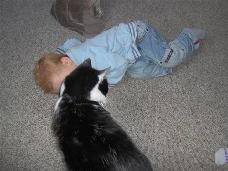 Huskat Bastian R.I.P. - åhh det kunne ske at Janick gad klø mig lidt..... billede 5