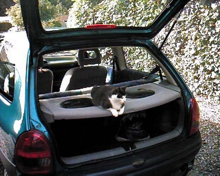 Blanding af racer trunde billede 13