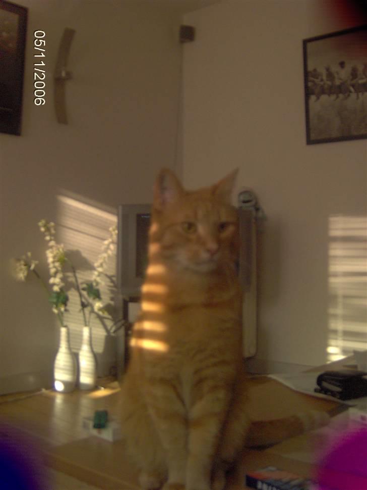 Huskat Anthon - Ja så det er mig.. billede 15