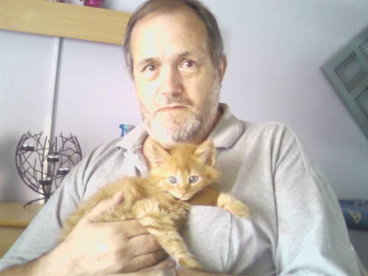 Norsk Skovkat Pelle R.I.P MY LOVE<3 - Her sidder pelle med sin oldefar billede 4