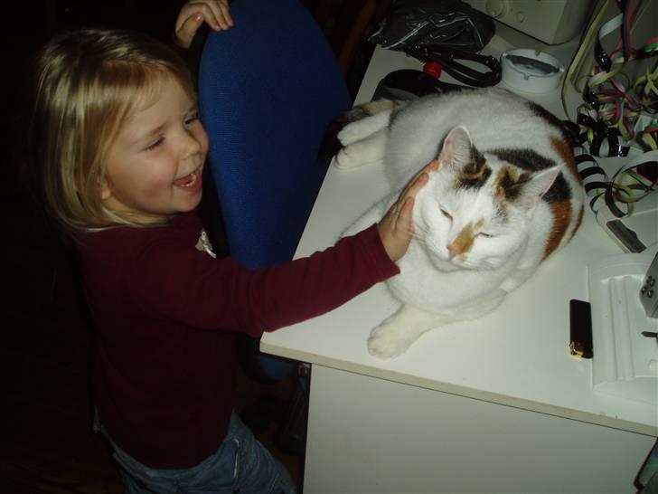 Blanding af racer Hvide mis - Det her nyder jeg bare.. billede 1