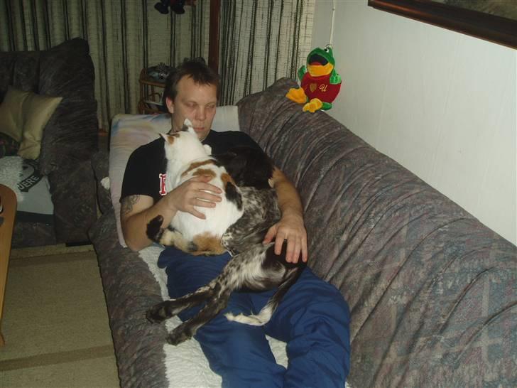 Blanding af racer Hvide mis - Dette her er nu nr et.. billede 5