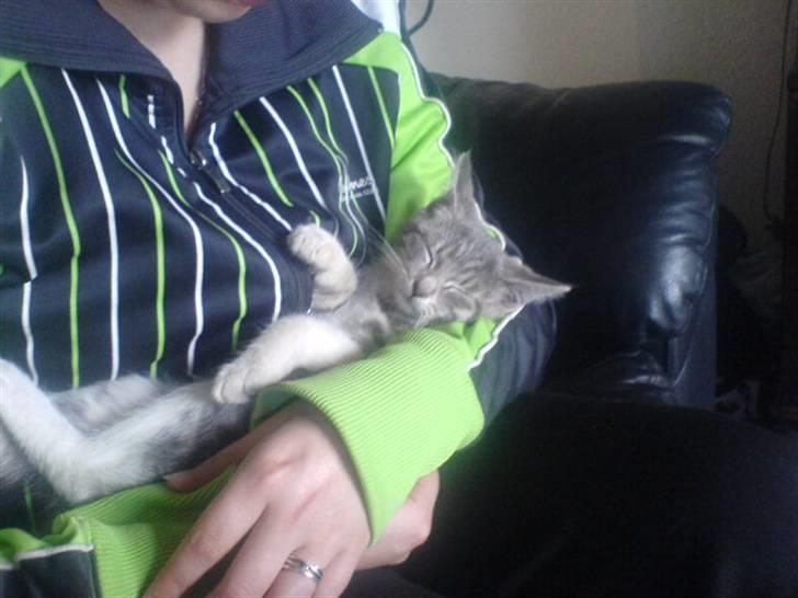 Huskat Bette mis bor hos min ex  - Hygger lige i mors arme billede 12