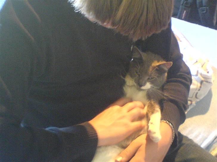 Blanding af racer Sweety - her slapper hun af, og spinder for første gang efter hun er kommet hjem d. 30-06-07 billede 14