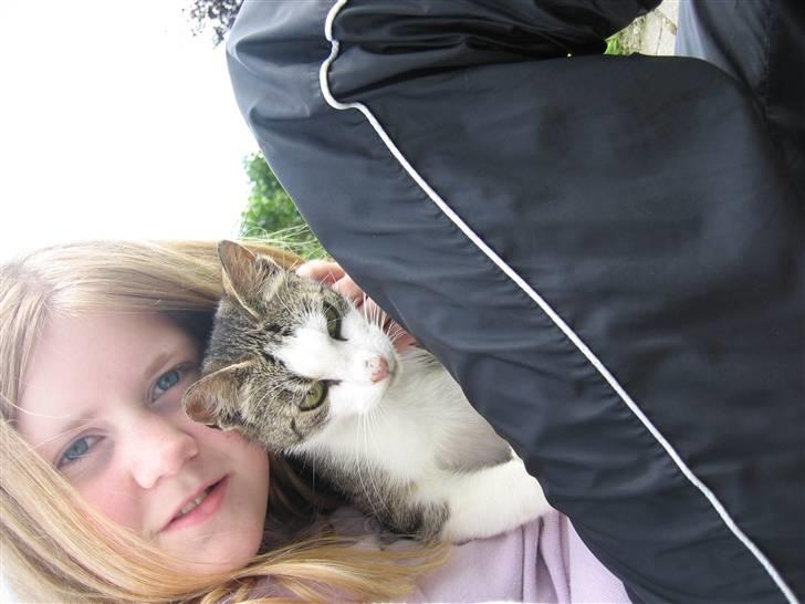 Blanding af racer Sille - Mig og Sille leger billede 14