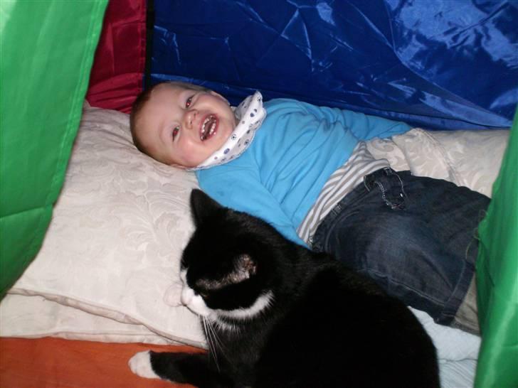 Blanding af racer channel billede 1