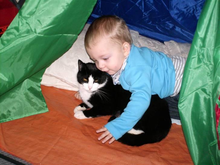 Blanding af racer channel billede 2