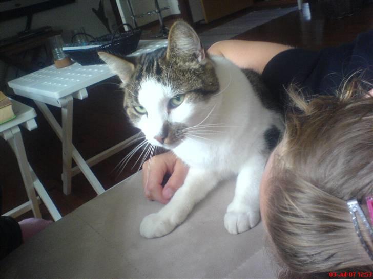 Huskat Pjevs *Bort givet* :'[ <3 - Det foreste af Pjevs, og lidt af min kusines hovet ! <3 billede 12