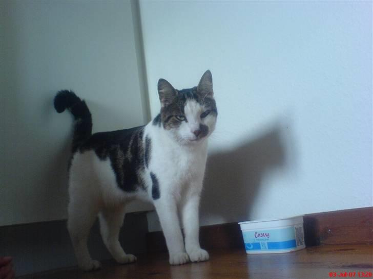 Huskat Pjevs *Bort givet* :'[ <3 - Såå. Nu har mig og johanne omringet dig ! <3 billede 15