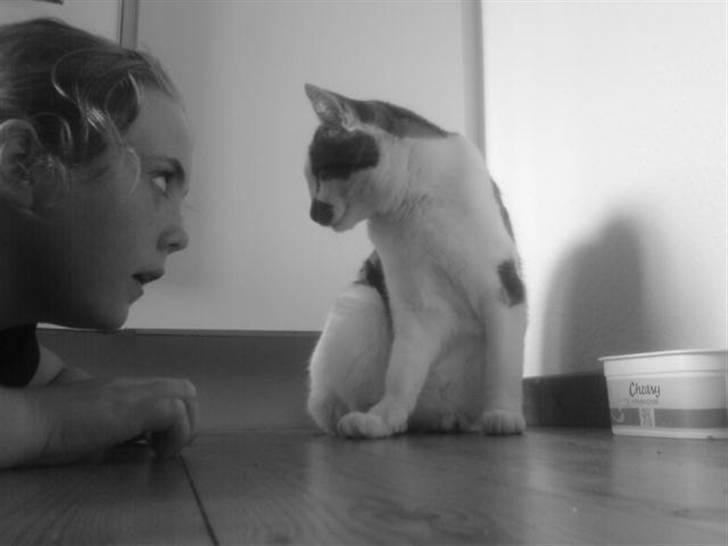 Huskat Pjevs *Bort givet* :'[ <3 - En af de bedste billeder, <333 billede 18