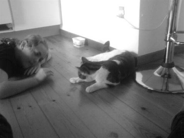 Huskat Pjevs *Bort givet* :'[ <3 - Øhhm ? <3 billede 19