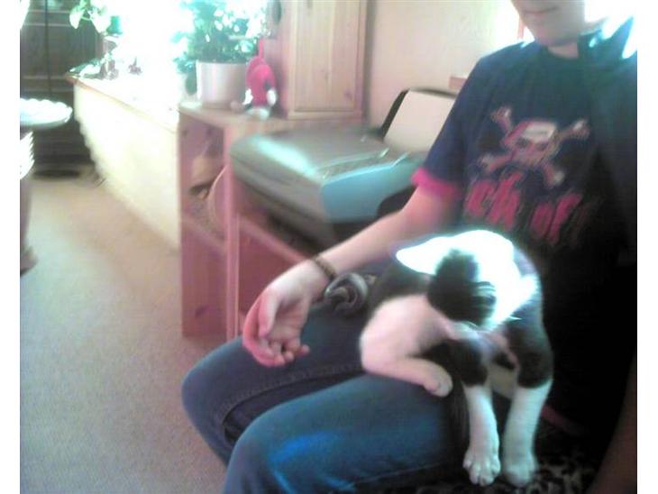 {{currentPhoto.altText}} billede {{currentPhoto.number}}