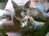 Huskat futte (( R.I.P )) :´(