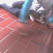 Huskat Søde Mis (død) savn<3