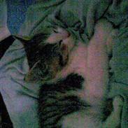 Huskat Søde Mis (død) savn<3