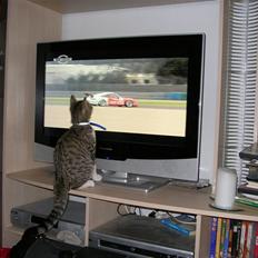 Blanding af racer mickey Mouse