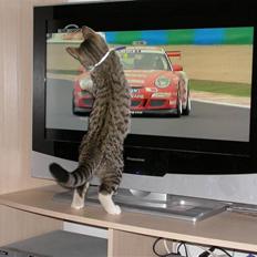 Blanding af racer mickey Mouse