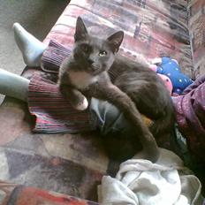 Huskat futte (( R.I.P )) :´(