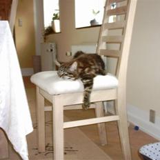 Blanding af racer Twist