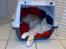 Maine Coon Disney