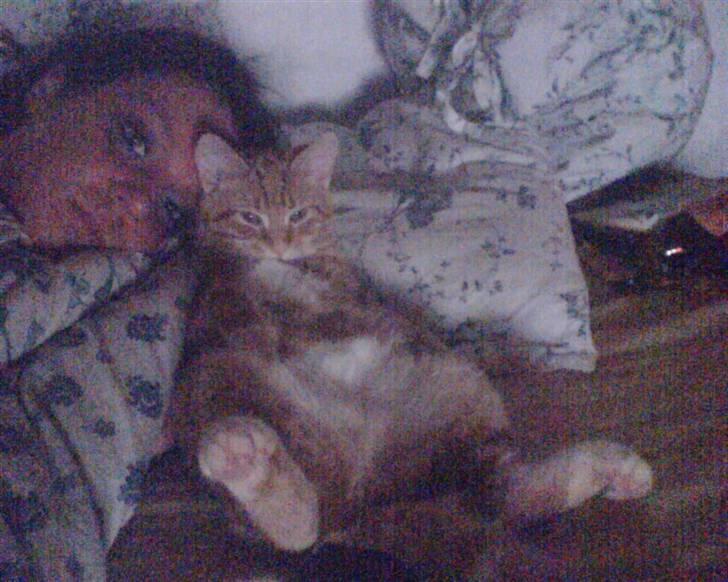 Huskat Baby freja billede 2