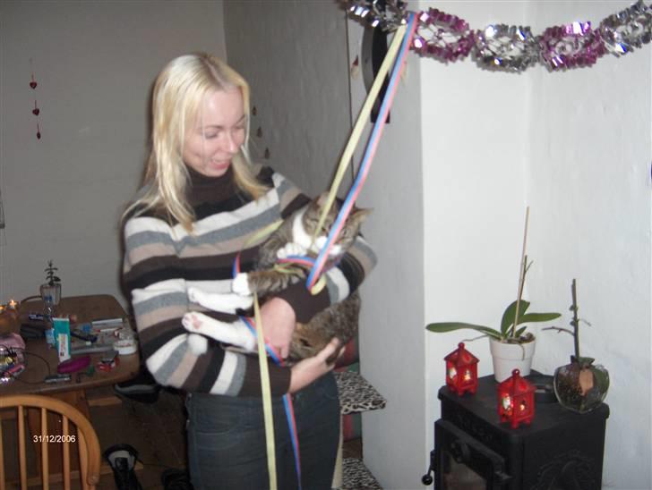 Huskat Swetlana - Nytårsaften er bare rigtig sjov, med terpentiner........ allle jeg havde hængt op blev hevet ned.... billede 6