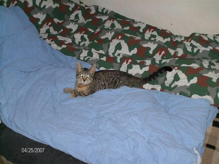 Huskat mille billede 1