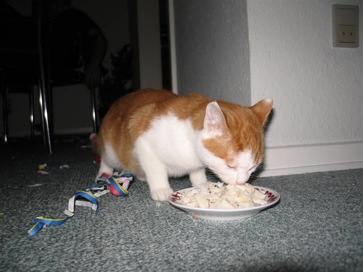 Huskat Choko - GLÆDLIGT NYTÅR!!!! Det er noget dejligt mad billede 14