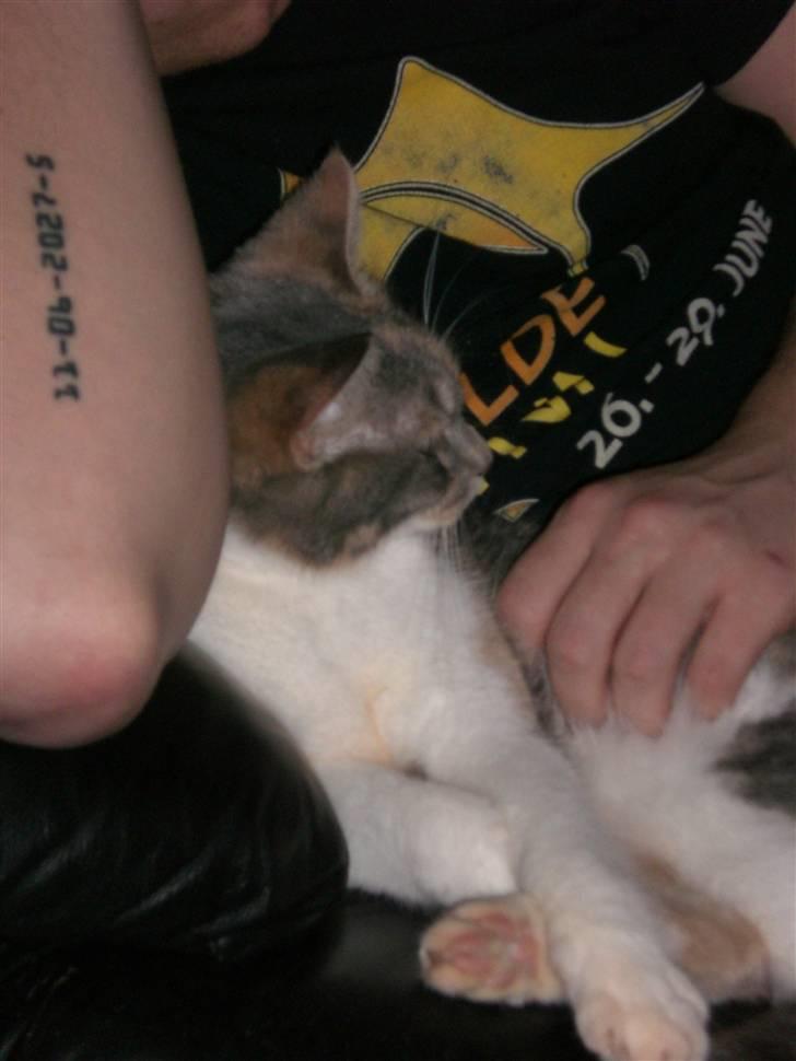 Blanding af racer Lexus Altessa billede 3