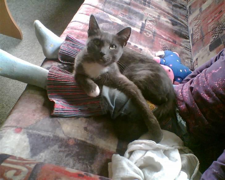 Huskat futte (( R.I.P )) :´( billede 2