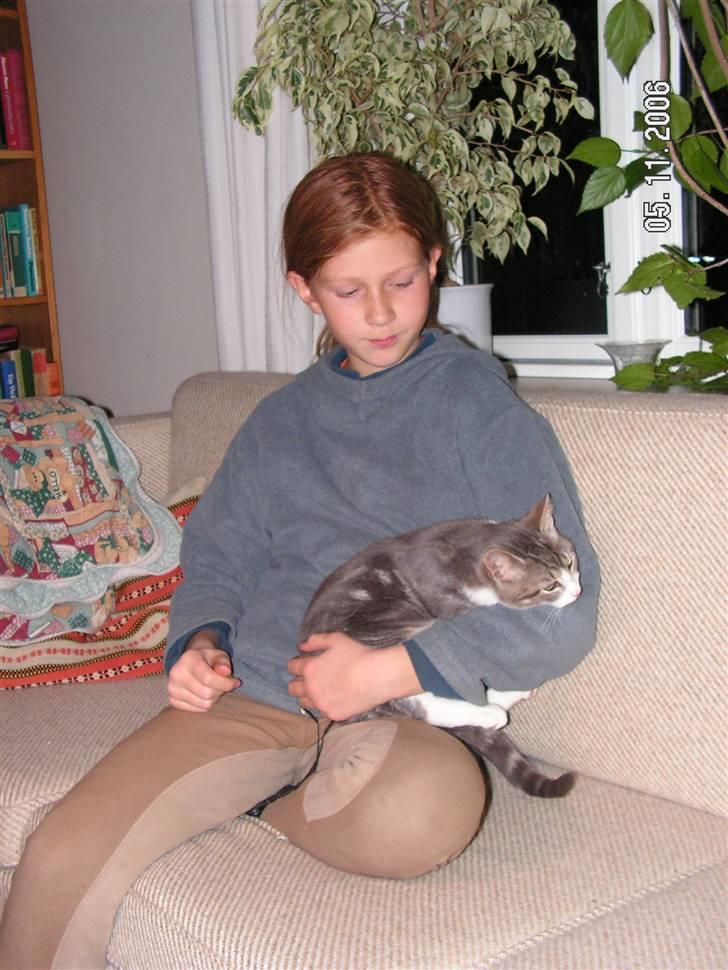 Huskat Grismis (Væk) - Grisser og Anna der hygger. billede 14