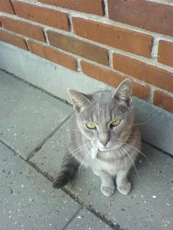 Huskat emma<33(L) - qoddaq jeq er emma;b velkommen til miin profil(L) billede 1