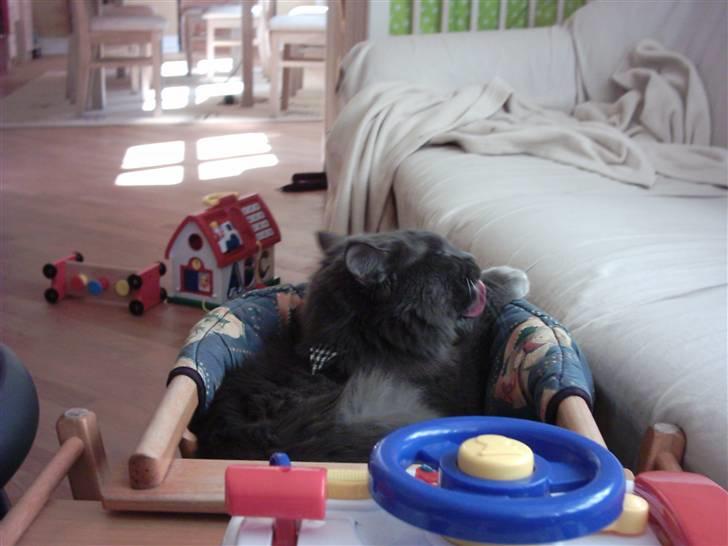 Blanding af racer Pepsi - Vaske, vaske, vaske billede 13