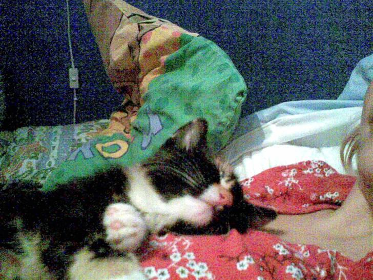 Huskat Belle - og lidt mere træt :) billede 6