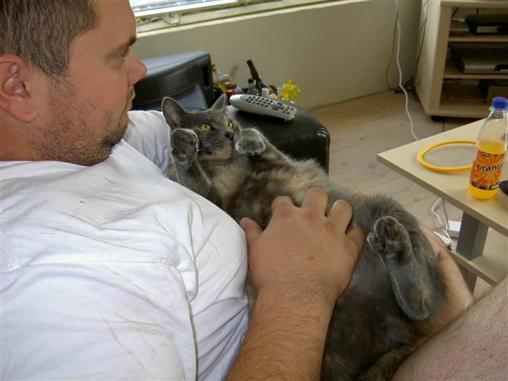 Blanding af racer frederikke. *R.I.P* - klø mig lige lidt på maven. billede 17