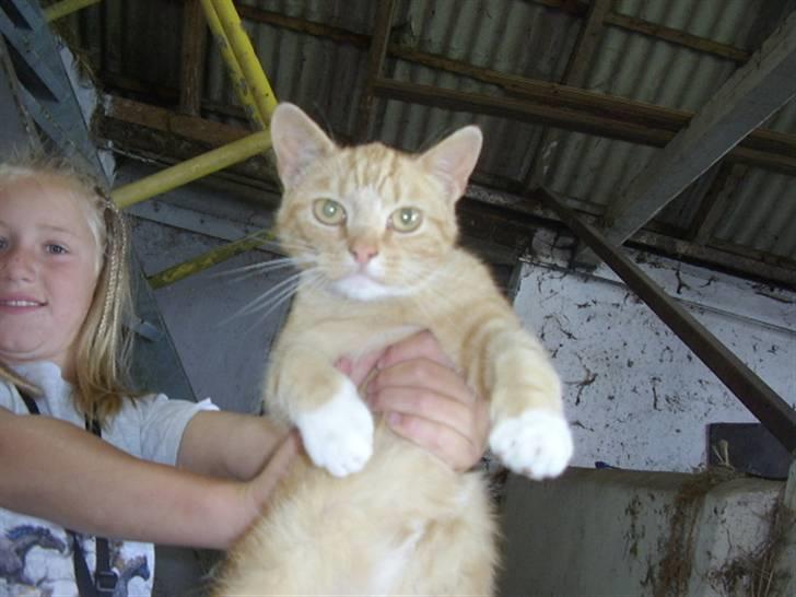 Huskat Bad man billede 14