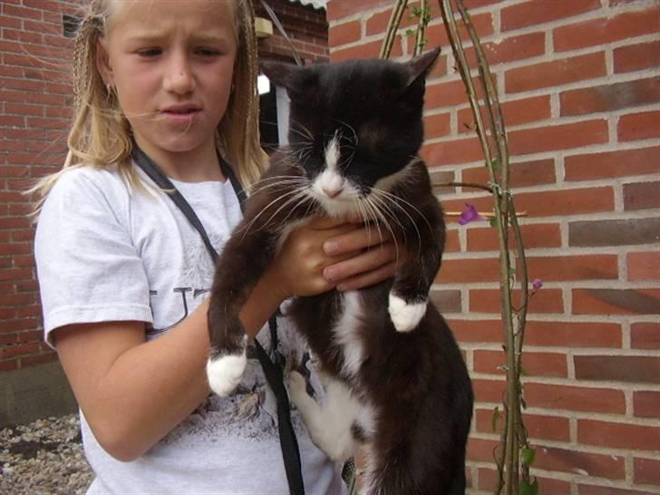 Huskat spooky billede 9