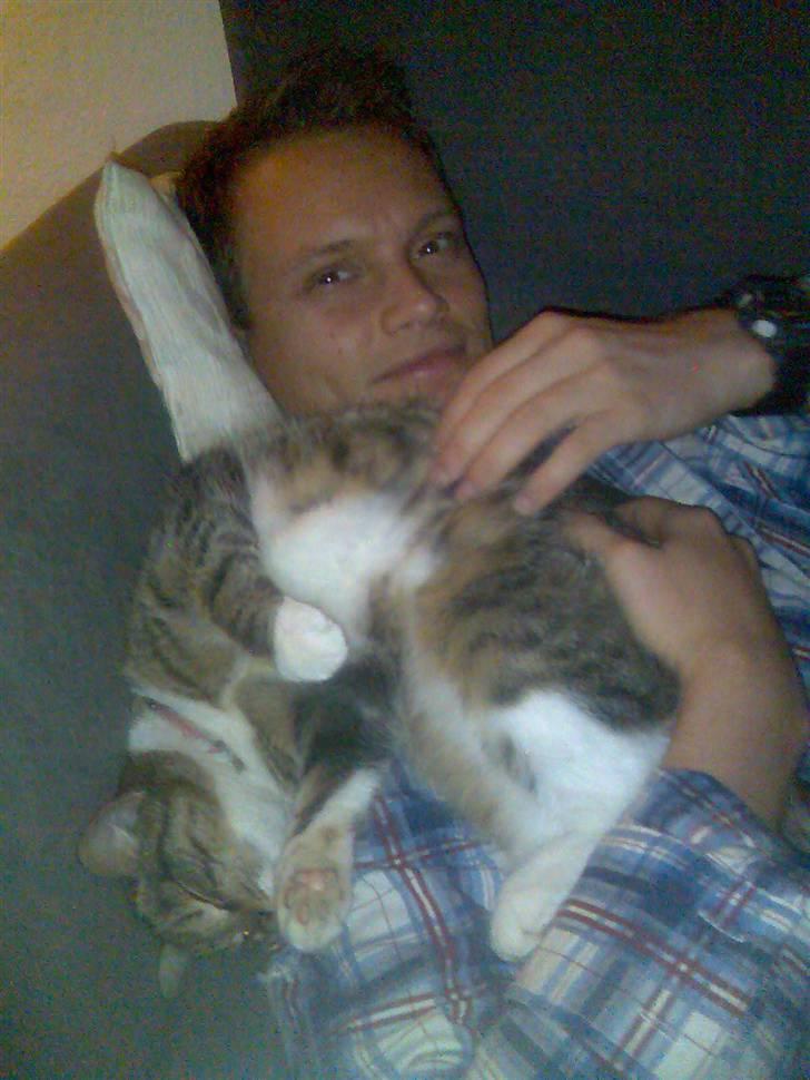 Huskat Sofie billede 4