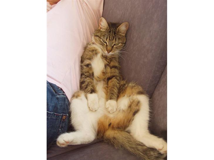 {{currentPhoto.altText}} billede {{currentPhoto.number}}