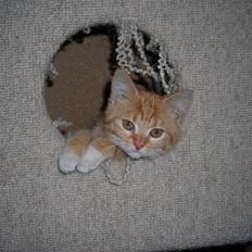 Huskat Muddi <3 miss you 4-ever