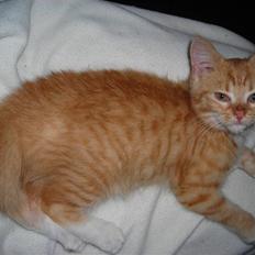 Huskat Muddi <3 miss you 4-ever