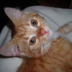 Huskat Muddi <3 miss you 4-ever