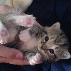 Huskat Piv<3  Savnet<3