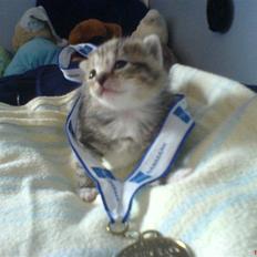 Huskat Piv<3  Savnet<3