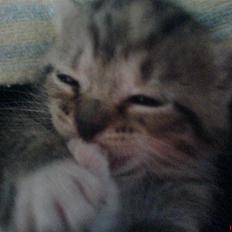 Huskat Piv<3  Savnet<3